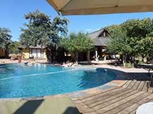 matswani elephant lodge pool